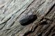 DSCN3814.jpg