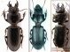 Schermata-2013-04-03-alle-19.01.03.gif