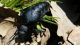 DSCF3583.JPG