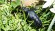 DSCF3593.JPG