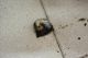 resized-IMG_0742.JPG