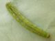 Phlogophora_meticulosa_larva (1).jpg