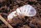 DSCN7616.JPG