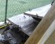DSCN4139.JPG