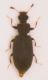 DSCN3900.JPG
