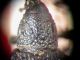 DSCN3137 (Custom).JPG