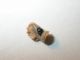 DSCN4010.JPG