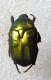 DSCF4355.JPG
