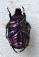 DSCF4359.JPG