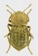 DSCN4180.jpg