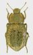 DSCN4178.JPG