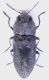 DSCN4219.JPG