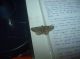 DSCF8963.JPG