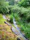 DSCN5720.JPG
