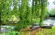 DSCN5723.JPG