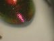 DSCN4339.JPG