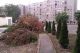 Budapest_Palmar2.jpg