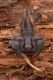 Le-Moulin-Queyras_Francia__DSC4848.jpg