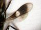 DSCN4460.JPG