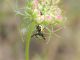 DSCN3385 (Small).JPG