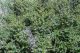 tn_DSCN1297.JPG