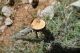 tn_DSCN1306.JPG