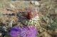 tn_DSCN1420.JPG