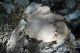 tn_DSCN1353.JPG