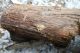 tn_DSCN1354.JPG