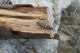 tn_DSCN1356.JPG