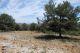 tn_DSCN1378.JPG