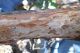 tn_DSCN1370.JPG