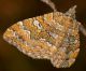 LagoLiscia020613 057mod1.jpg