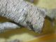 DSCN4694.JPG