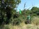 Maccarese_Daniele_14-VI-2013_a.jpg