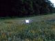 led30w_campo2.jpg