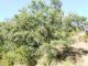 DSCF8870.JPG