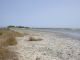 DSCN4838.JPG