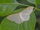 20130707vi.JPG
