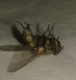 2013-07-10 10.29.35.png