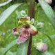 4.gif