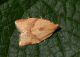 DSC_3540 comp.jpg