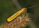 03 20100808valdiRhemes-31.JPG