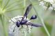 _DSC4186baracaca_cr.jpg