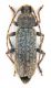 Comb0855_32crc.jpg