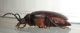 DSCN6216.JPG