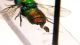 DSCF3900.JPG