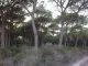 DSCN5139.JPG