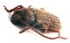 Comb0897_113crc.jpg