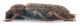 Comb0896_44crc.jpg